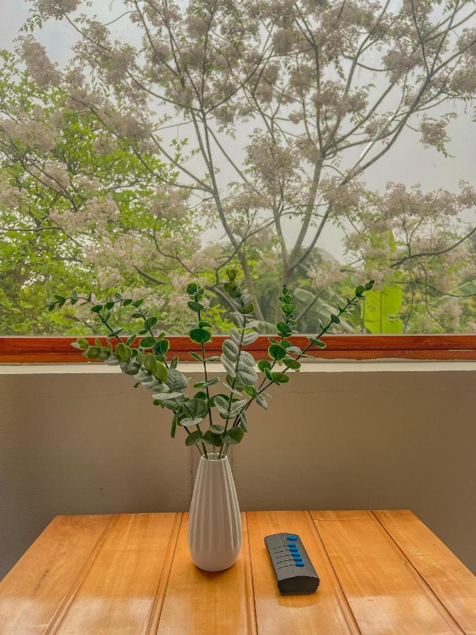 Cosiana Homestay Ninh Binh Dış mekan fotoğraf